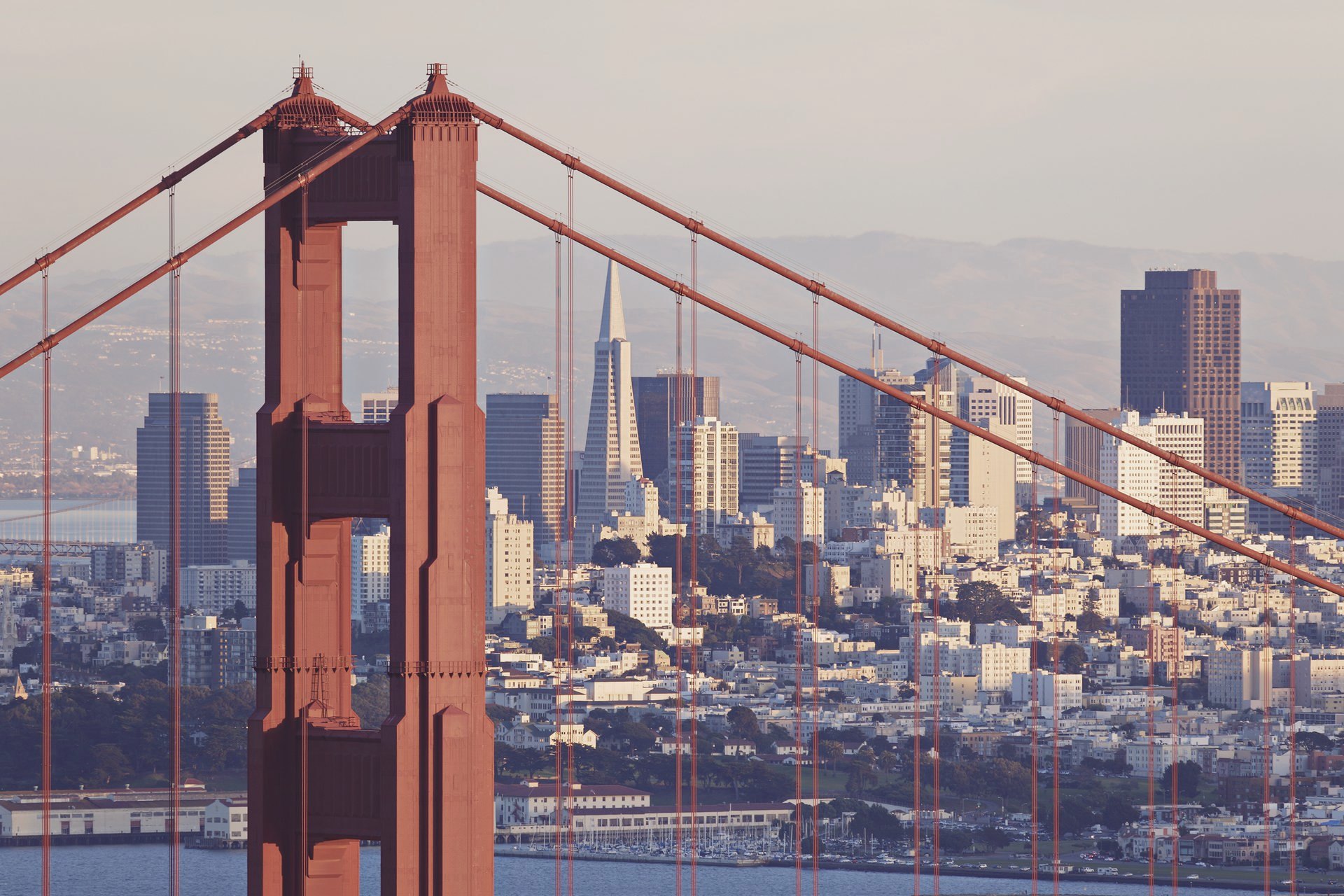 Strengthening Product-Market Fit in 12 Weeks of Coaching