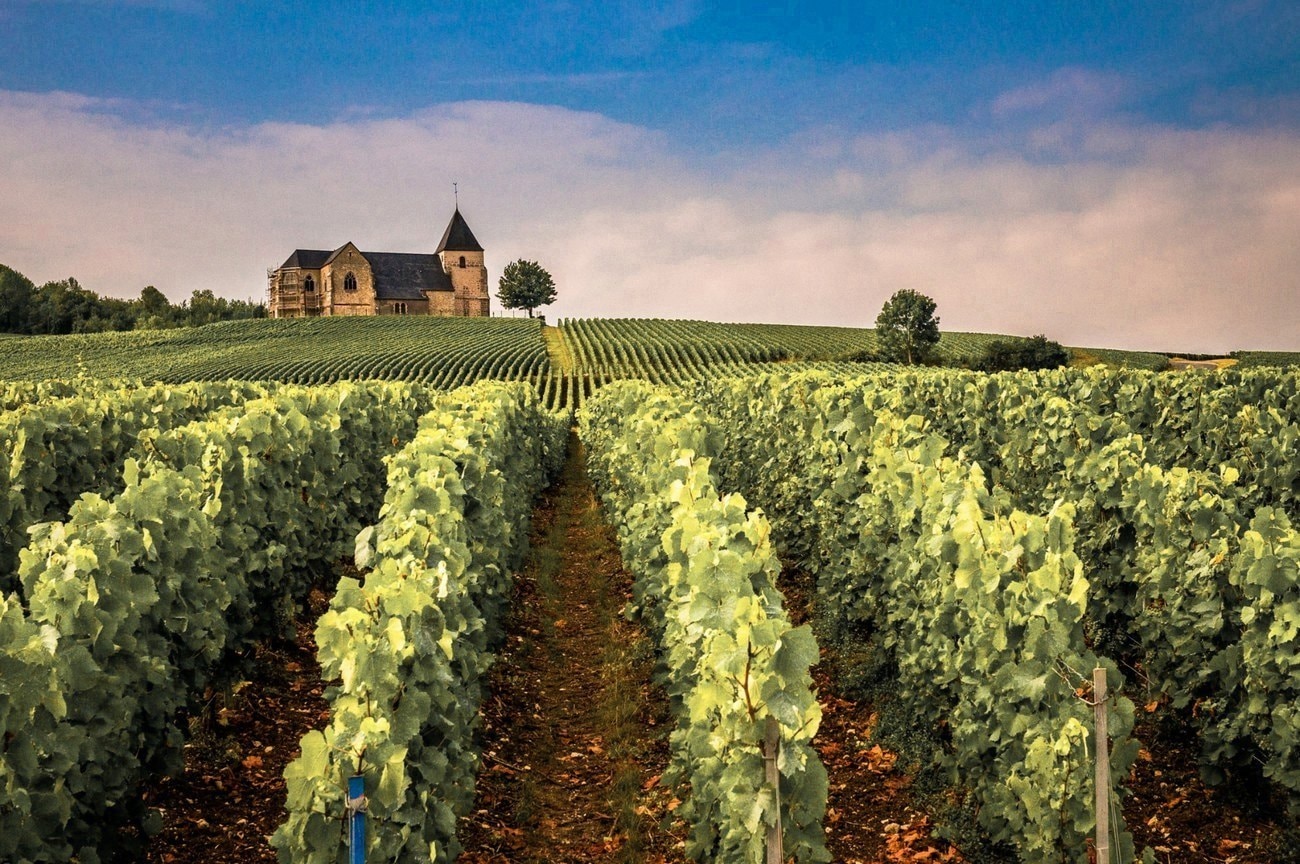 How Market and Customer Insights Sharpened a Wine Subscription Brand's Marketing Strategy